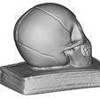 SkullOnBook6.jpg Crane sur Livre - Skull on Book