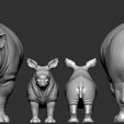 Rhino (4).jpg Rhino