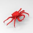 King-crab-2.jpg King crab