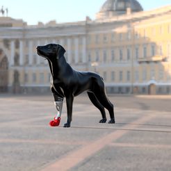 Foto1.png Articulated biomechanical prosthesis for dog right front leg - Prosótesis biomecánica articulada para pata delantera derecha de perro - Prótesis biomecánica articulada para pata delantera derecha de perro