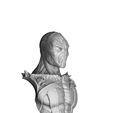 0019.jpg SPAWN FOR 3D PRINT FULL HEIGHT AND BUST