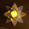 Capture_d_e_cran_2016-08-04_a__11.16.57.png Flor radiante
