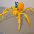 8.jpg Grounded 2- Max and Orb weaver Spider