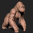 3.jpg Gorilla 3D print model