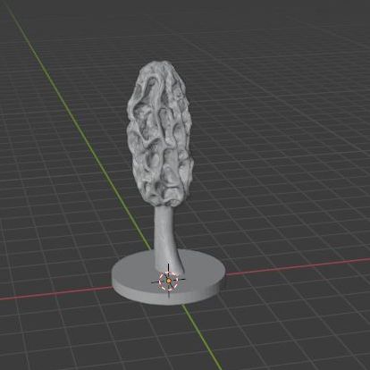 _SQ_F13-morel4.jpg morel #4