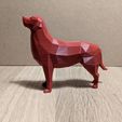 LowPolyRetriever-side.jpg Low Poly Dog Collection