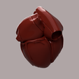 3.png HUMAN HEART SEGMENTED 3D MODEL