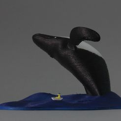 Print_coloured_2.jpg Fichier STL gratuit Saut à la grande baleine・Objet imprimable en 3D à télécharger