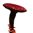 6.jpg Mushroom Giant FOREST NATURE GRASS VEGETABLE FRUIT TREE FOOD WORLD LANDSCAPE MAGIC Mushroom Giant B