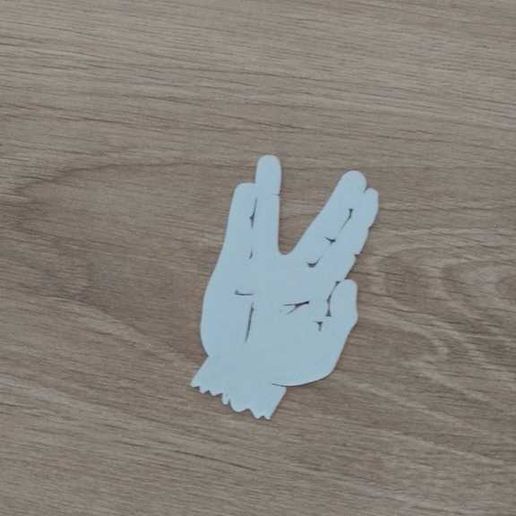 IMG_20190801_184852.jpg Main Spock / Vulcain