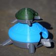 DSC_0117.JPG Free STL file Bobblehead Turtle・3D print design to download