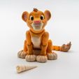 1.jpg Flexi Simba