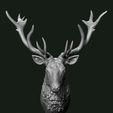 Stag_2.jpg Stag bust