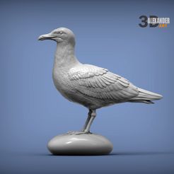 gull-1.jpg Файл STL Herring gull 3D print model・Дизайн 3D принтера для загрузки