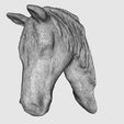 HorseHead_01_display_large.jpg Horse Head