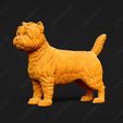 3081-Cairn_Terrier_Pose_02.jpg Cairn Terrier Dog 3D Print Model Pose 02