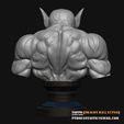 Toppo_printing_model_007.png Toppo STL - Dragon Ball Super - 3D Print Model