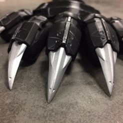 IMG_1055.jpg Black panther claws Fixed