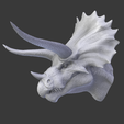 Captura-de-pantalla-1808.png ultimasaurus head