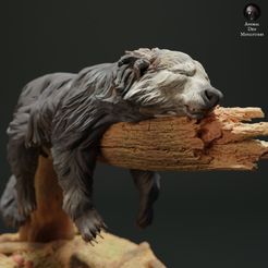 binturong_sleep_3.jpg 3D file Binturong - Bear Cat Sleep・3D printer design to download