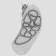 file-13.jpg Thyroid anatomy microscopic larynx trachea 3D model