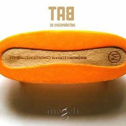 TAB_1.jpg Tab