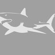 tibu.jpg Shark Wall Art