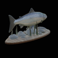 salmo-salar-1-6.png Atlantic salmon / salmo salar / losos obecný fish underwater statue detailed texture for 3d printing