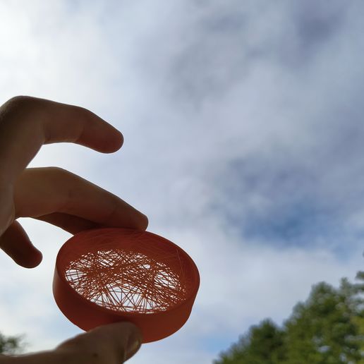 1000010087.jpg string art hundepaste