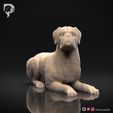 Boxer-Pose-09-Dog-3D-Print-10s.jpeg Chien Boxer Modèle imprimé en 3D Pose 09