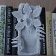 4.png Demogorgon Book Nook - Estante de livros de terror de Stranger Things