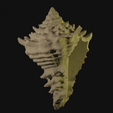 shell.blend10386.png Shell