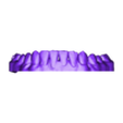 PAC A ALINEADORES Lower Setup 9.stl TRANSPARENT ALIGNERS Pac A. 21 dental models or setups of UPPER AND LOWER MAXILLARY "READY FOR 3D PRINTER" - AREA3D - PATIENT A. COMPLETE DENTURE