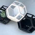 planty-11.jpg Plantygon - Modular Geometric Stacking Planter for Succulents