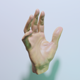 7.png 真人大小的 3D 扫描男性手部 - 用于雕塑和数字建模的模型