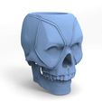 0_9.jpg Deadpool Skull Matte for 3d printing
