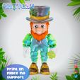 CR2.jpg Flexy Print In Place Leprechaun With Clover Leaf