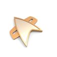 Voyager-combadge.1.jpg Set of Star Trek Badges