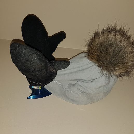 20200409_220545.jpg Horn Hook