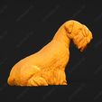 3406-Cesky_Terrier_Pose_06.jpg Cesky Terrier Dog 3D Print Model Pose 06