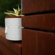 18-46-58_IMG_0176.JPG Cute Customizable Planter Pot