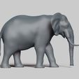 R04.jpg elephant pose 03