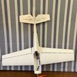 RC-Flugzeug