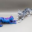 337806077_843587003856383_112813242316312984_n.jpg Archivo STL Flexi Cat, gatito articulado para imprimir・Modelo imprimible en 3D para descargar