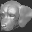 18.jpg Puppy of Pointer dog head for 3D printing