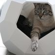 IMG_2946.JPG STL file TAO LOW POLY cat house・3D print design to download