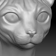 13.jpg Sphynx cat head for 3D printing