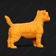 3085-Cairn_Terrier_Pose_02.jpg Cairn Terrier Dog 3D Print Model Pose 02