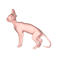 model-4.png Sphynx cat low poly