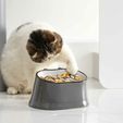 61SPZrYmf9L._AC_SL1500_.jpg AntiVomit Free Slow Feeder Cat and Dog Bowl, Slows Down Pets Eating, Prevents Overeating / Plaster mold cast with draft angle
